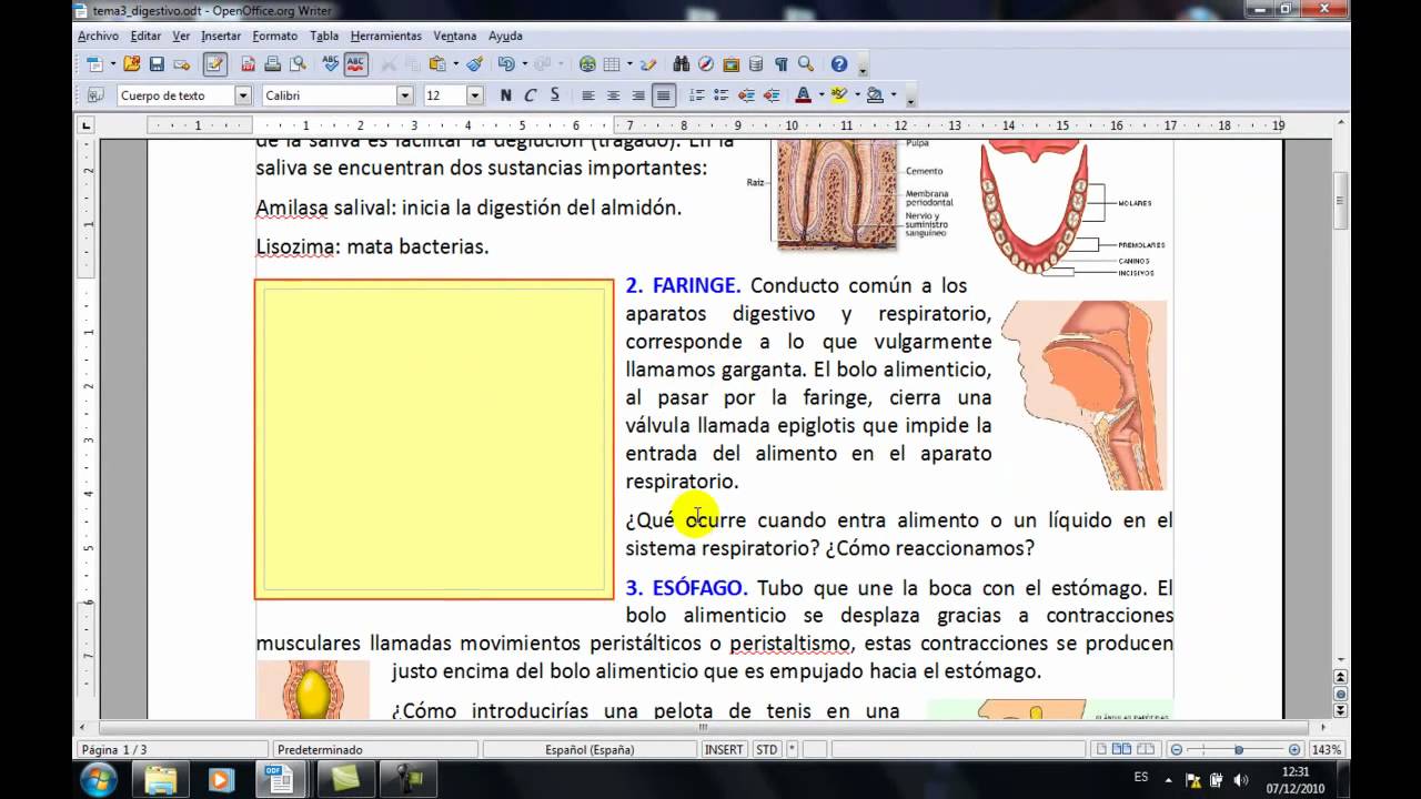 Insertar britos alonso blogfolio nº2