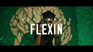 FLEXIN ~ MANJ MUSIK | Punjabi Song Video HD