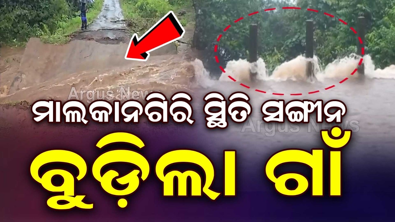 Malkangiri Flood Situation Worsens: Over 1,100 Evacuated, Bridges Submerged | Argus News