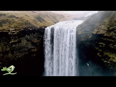 Deep Sleep Music 24/7: Fall Asleep Fast, Relaxing Music, Sleeping Music, Beat Insomnia