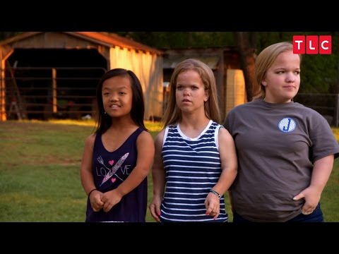 7 Little Johnstons'
