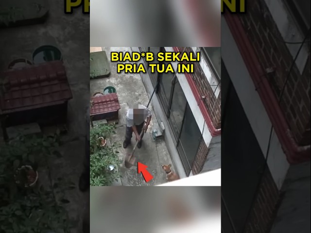 Anjing ini Disiksa Terus Menerus, Tetangganya pun Tak Tinggal Diam #shorts #anjing