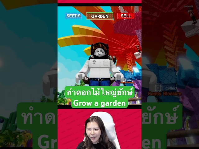ลองทำดอกไม้ใหญ่ใน grow a garden กินไปครึ่งแมพ