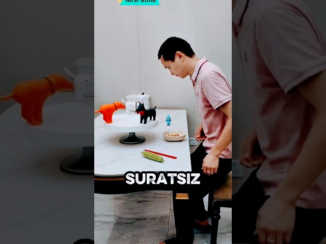 Hayvan Figürlü Soslukların İsyanı 🤩💯