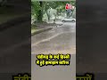 Chandigarh में झमाझम बारिश से मौसम सुहावना | #shortsvideo  #shorts