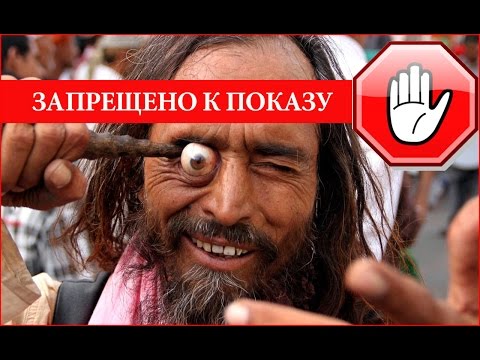 рецепт чингисхана от паразитов рецепт чингисхана от паразитов