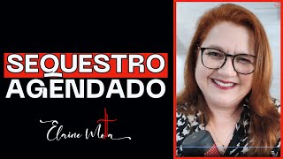 SEQUESTRO AGENDADO | ELAINE MOTTA