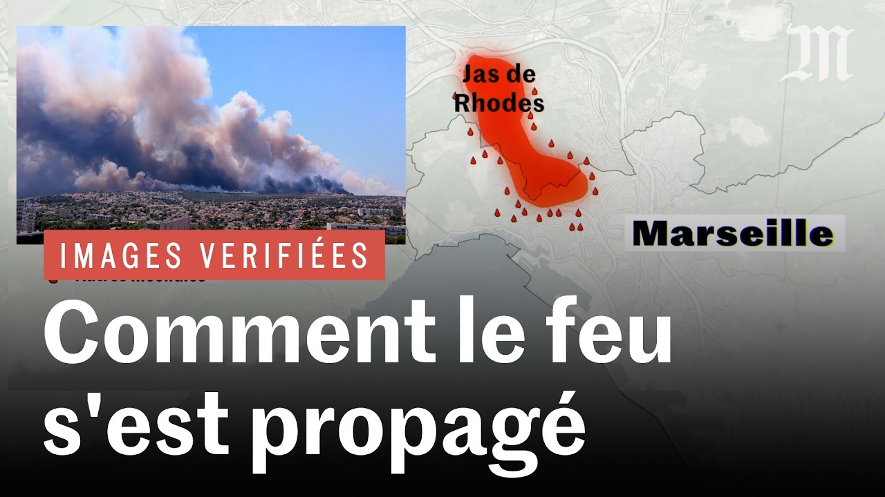 Incendie à Marseille : comment la deuxième ville de France s’est retrouvée menacée par les flammes