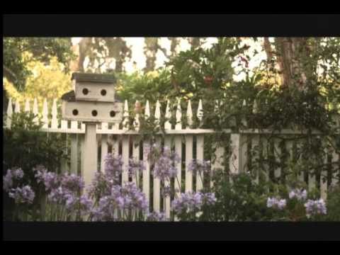 Bed & Breakfast: Love is a Happy Accident'