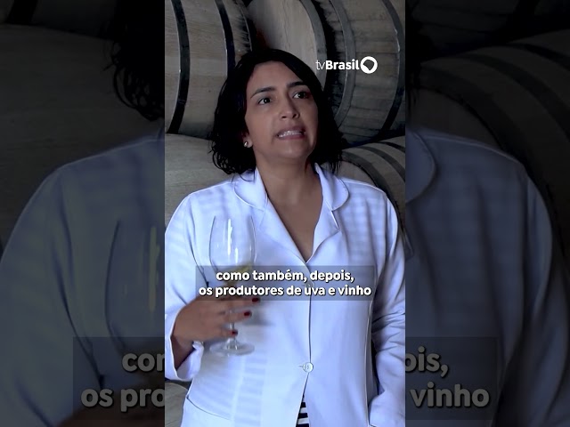 Caminhos da Reportagem fala sobre produção de vinhos no Vale do São Francisco