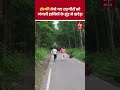 Viral Video: Selfie with elephants turns into scary chase in Dudhwa National Park