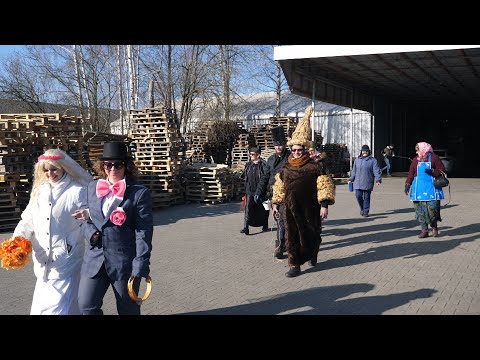 Wodzenie Niedźwiedzia w Zborowskiem 2025