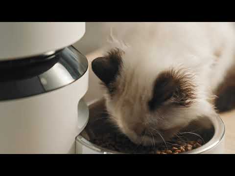 video PETLIBRO Ganary 3L Futterautomat für Katzen