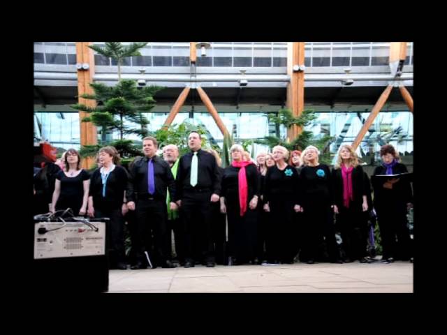 Choir sings Sheffield medley in Sheffields winter gardens