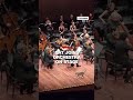 Cat joins orchestra on stage  - 00:42 min - News - Video