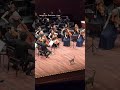 Cat joins orchestra on stage