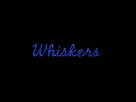 Whiskers'