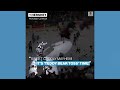 Hockey team celebrates with teddy bear toss - 01:24 min - News - Video