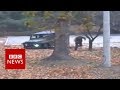 Daring escape: Video footage shows North Korean soldier crossing into South Korea, receives bullet injuries