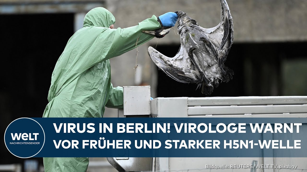 DEUTSCHLAND: Vogelgrippe-Schock! 15.000 Tiere getötet – Virus breitet sich aus