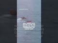 Dad jumps into ocean after his daughter falls overboard on cruise ship  - 00:35 min - News - Video