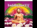 Buddha Bar XIV. 2012 - Gorins - I Grieve for Spring (feat. Shena)