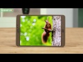 Samsung Galaxy Tab S2 8.0 T719 -  современный планшет премиального класса - Видео демонстрация