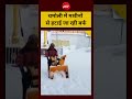 चमोली में मशीनों से हटाई जा रही बर्फ | #HemkundSahib #SnowfallInUttarakhand #ChamoliNews