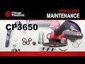 CP3650 Industrial Angle Sander Maintenance Demo 
