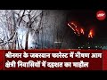 Srinagar Forest Fire News: श्रीनगर में Zabarwan Range के Forest Area में लगी भीषण आग | Jammu Kashmir