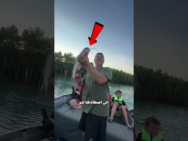 أطعم النسر في الهواء 😲!
