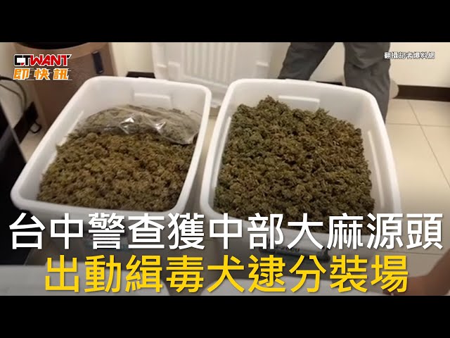 警破大麻窟！台中男「把住家當分裝場」販毒牟利 查獲3000萬大麻花