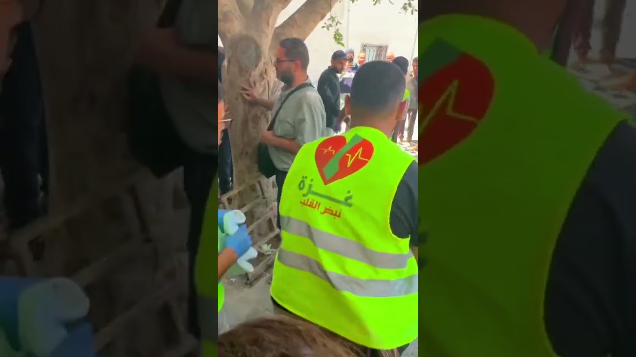 Gaza hospital director killed