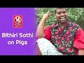 Teenmaar News : Bithiri Sathi Funny Take on  Human Organs Grown In Pigs