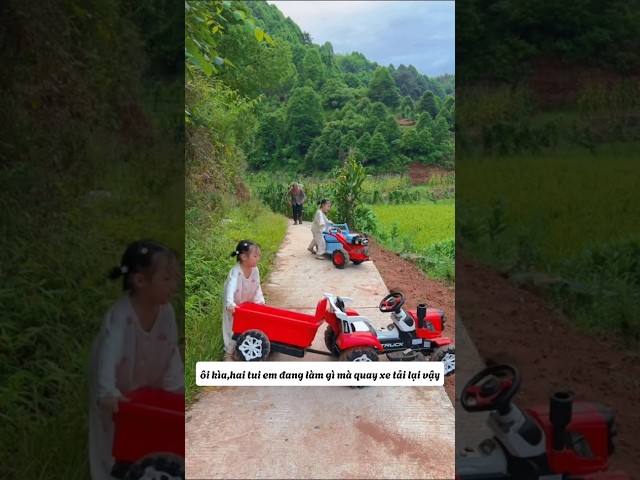 Hai em gái nhỏ lái xe đến giúp chở dưa hấu cho ông về nhà.#shorts