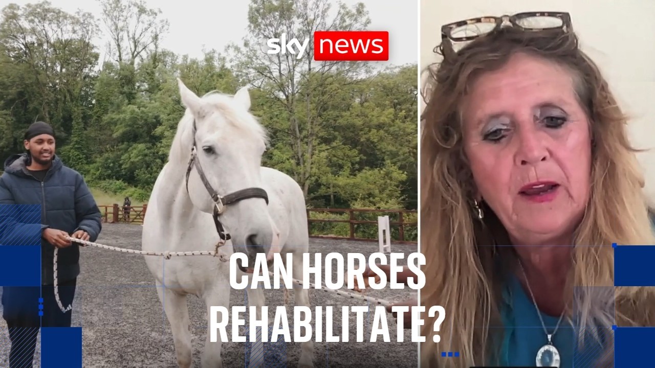 How horses are helping prisoners turn their lives around