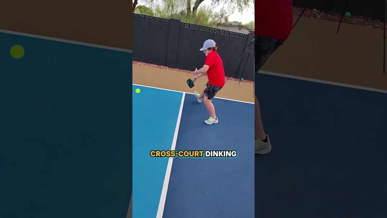 Erne more after watching this video #pickleball