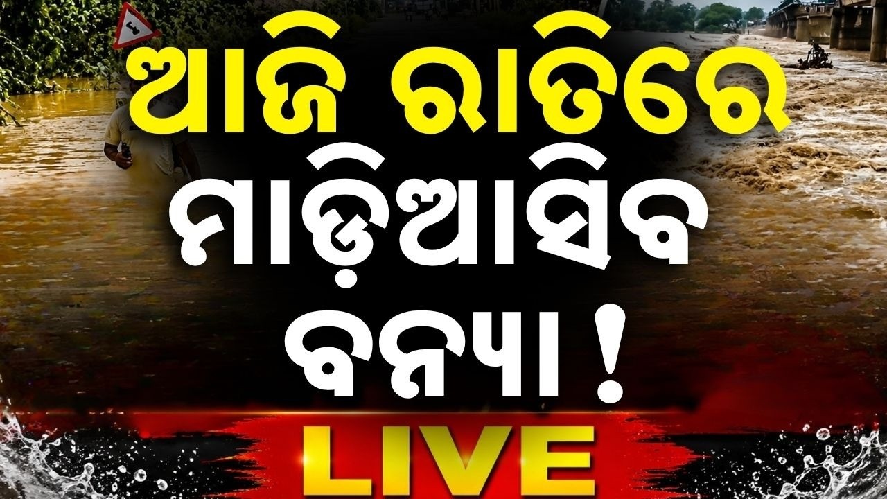🔴Live | ଆଜି ରାତିରେ ଅସଲି ବିପଦ ! Hirakud Gate Open | Mahanadi Flood | Flood News Odisha | Flood News