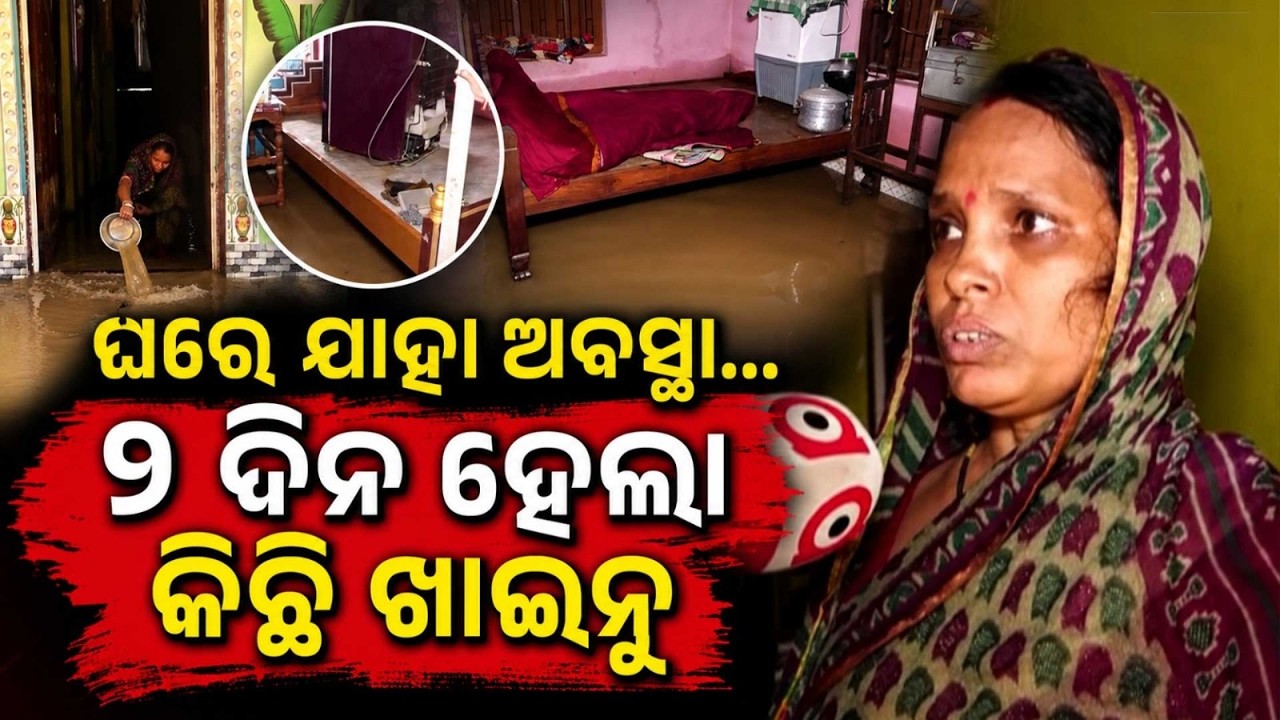 ଘରେ ଯାହା ଅବସ୍ଥା... | Jajpur Flood Crisis | Residents Starving for 2 Days as Water Enters Houses