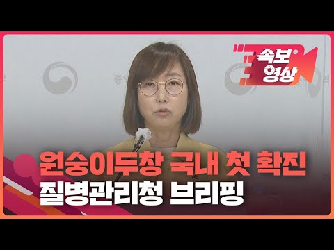 [속보영상] 질병관리청 “원숭이두창 국내 첫 환자 발생…독일서 귀국한 내국인” / KBS