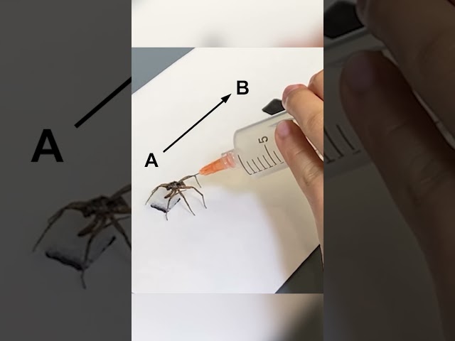 Using dead spiders as quasi-cyborgs to pick things up