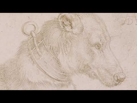Drawing in Silver and Gold: Leonardo to Jasper Johns