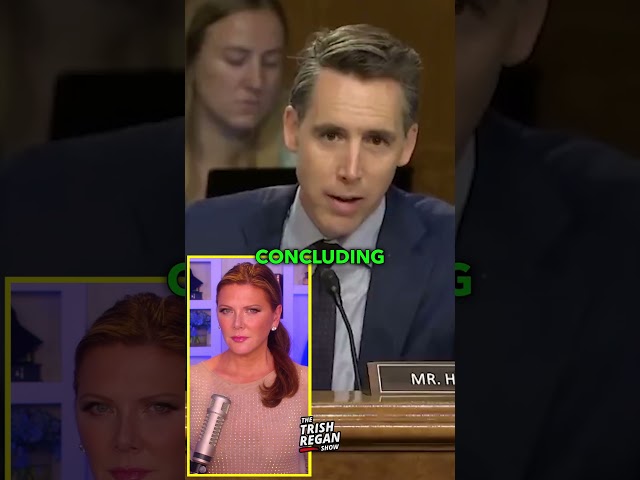 Hawley Shreds Dems For This