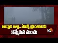Dense Fog Covers Agency Areas At Alluri Dist | అల్లూరి జిల్లా.. ఏజెన్సీ ప్రాంతాలను కమ్మేసిన మంచు