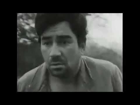 El chacal de Nahueltoro'