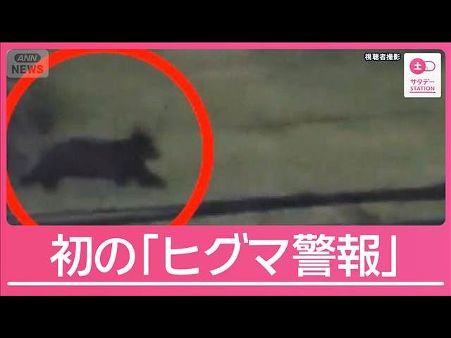 「藪に引きずる」行動の意味は？専門家が語るヒグマの習性　新聞配達員襲われ死亡【サタデーステーション】(2025年7月12日)