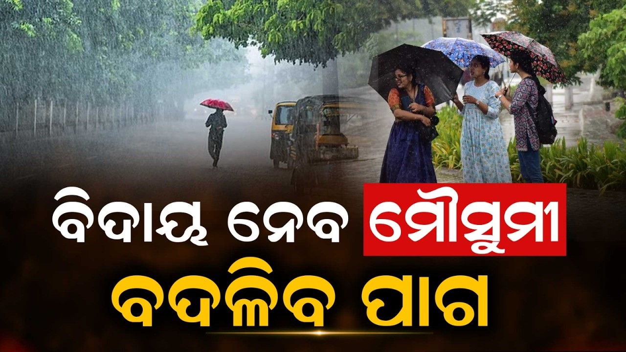 ବିଦାୟ ନେବ ମୌସୁମୀ... | Odisha Records 29% Excess Rainfall | Monsoon Withdrawal Soon | Argus News