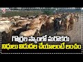 One More Official Booked In Sheep Distribution Scam | V6 News