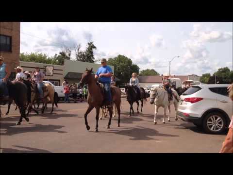 Rodeo Video