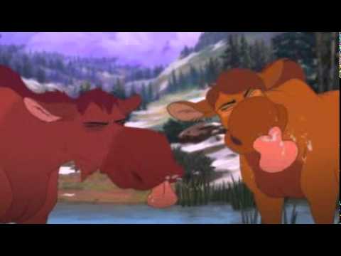 Brother Bear 2'